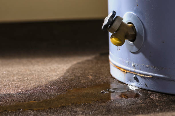 Best Flood restoration services  in Maricopa, AZ