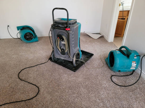 Best Mold removal after water damage  in Maricopa, AZ