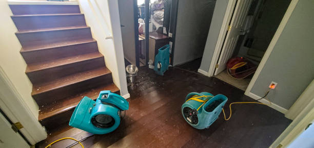 Best Local water damage restoration  in Maricopa, AZ