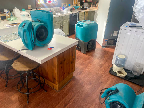 Best 24-hour water damage restoration  in Maricopa, AZ