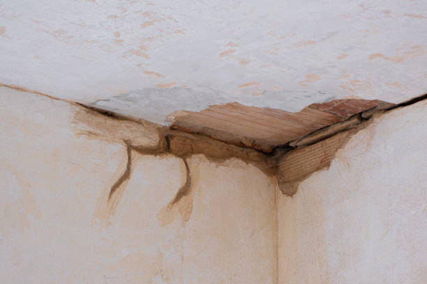 Best Residential water damage restoration  in Maricopa, AZ