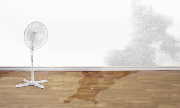Best Carpet water damage restoration  in Maricopa, AZ