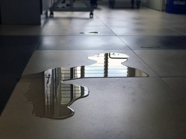 Best Professional water damage repair  in Maricopa, AZ