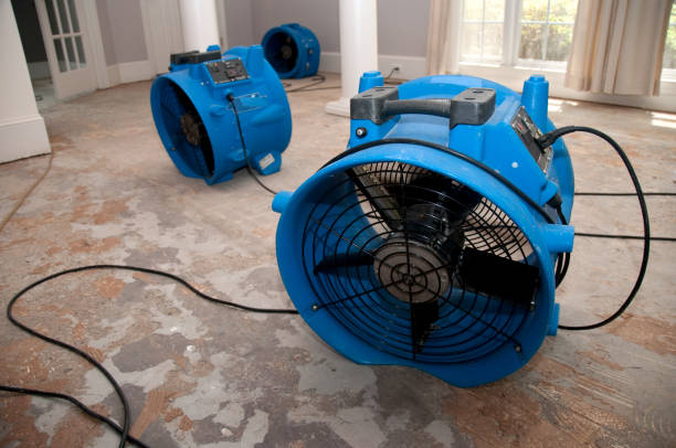 Best Mold removal after water damage  in Maricopa, AZ