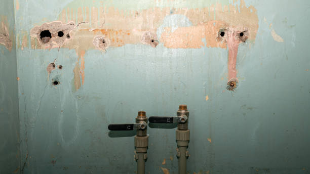 Best Flood restoration services  in Maricopa, AZ