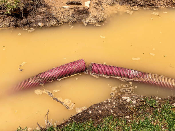 Best Residential water damage restoration  in Maricopa, AZ