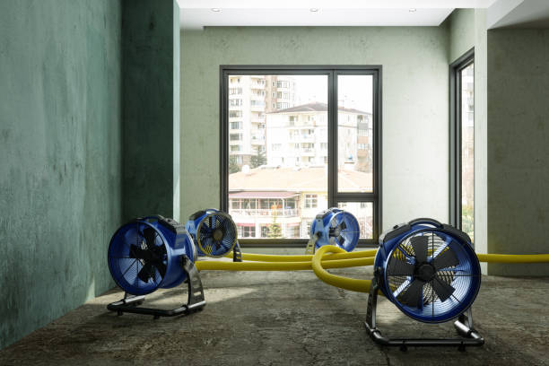 Best Ceiling water damage repair  in Maricopa, AZ