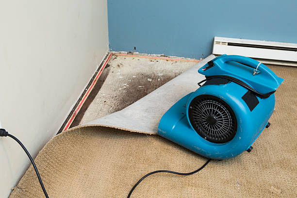 Best Flood damage cleanup  in Maricopa, AZ